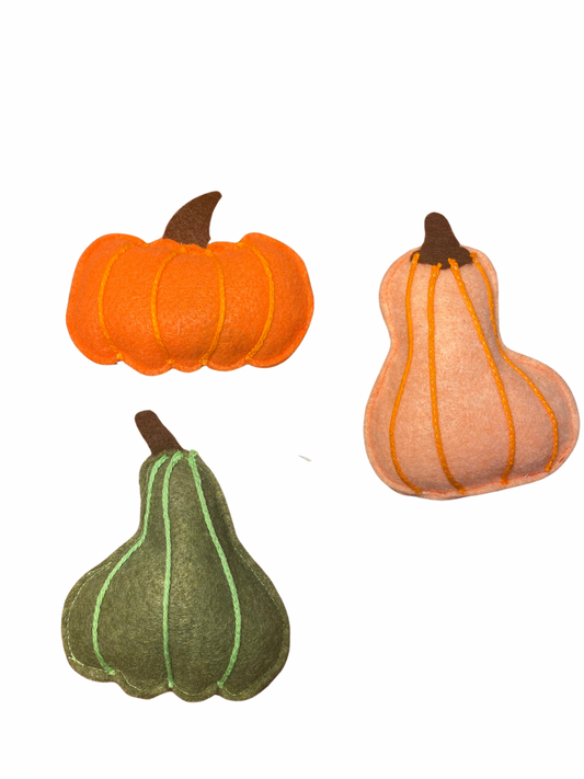 Pumpkin Patch Cat Toys