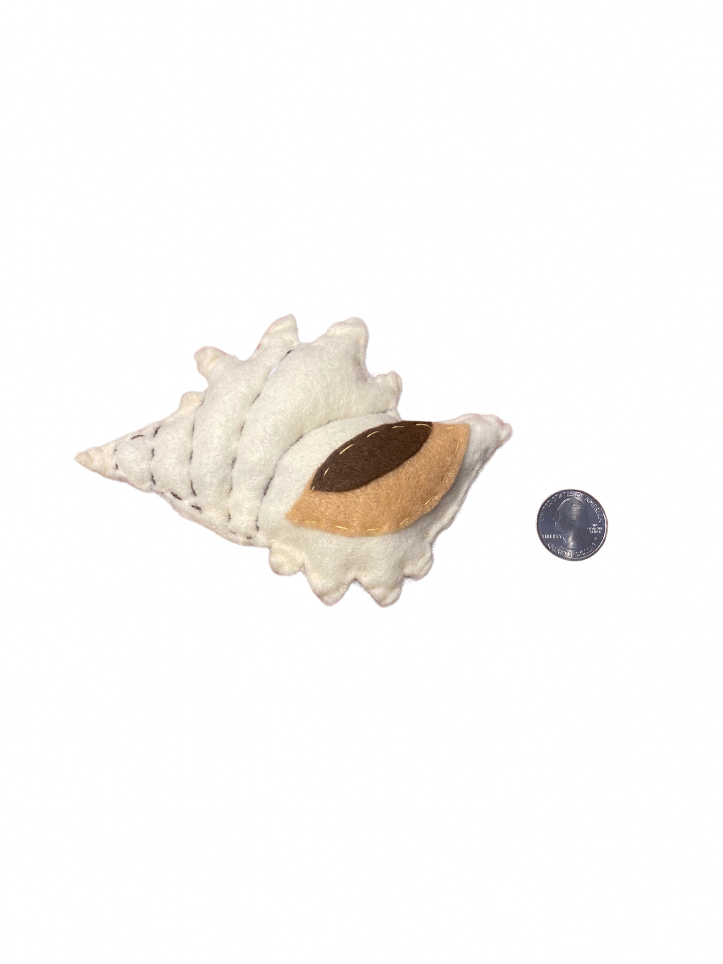 Seashell Cat Toys