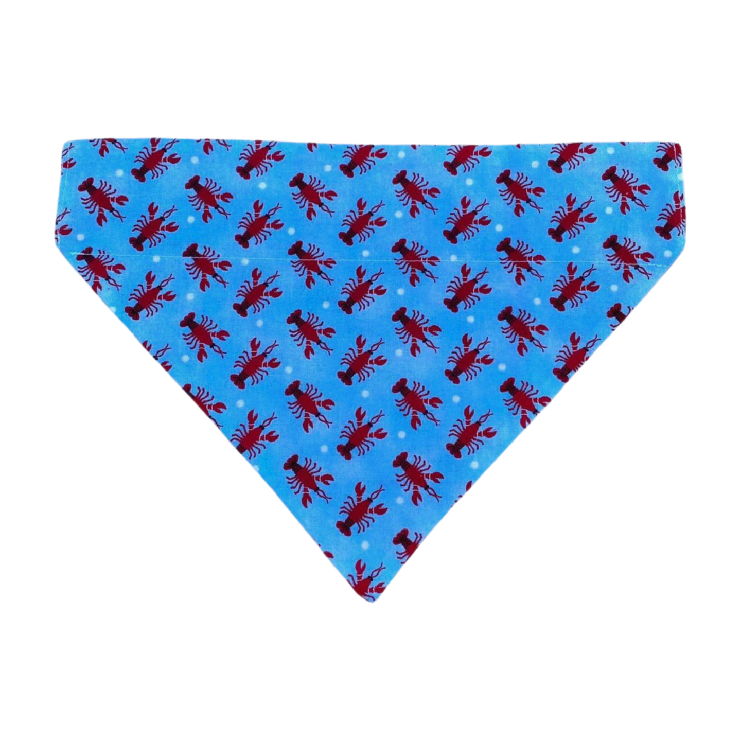 Beach Cruiser Dog Bandana