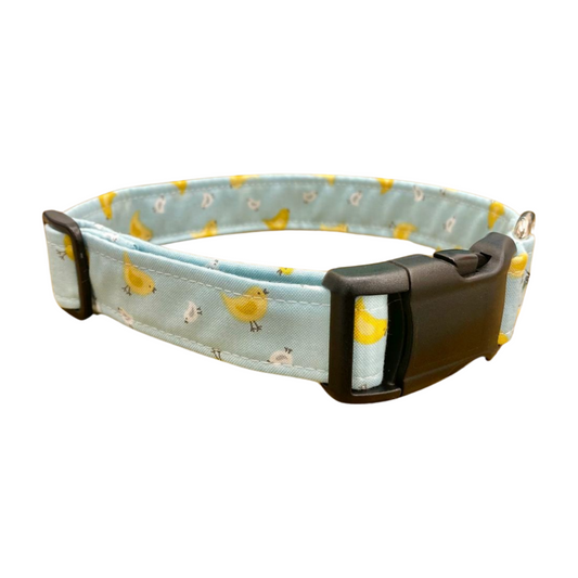 Easter Chick Buckle Dog Collar