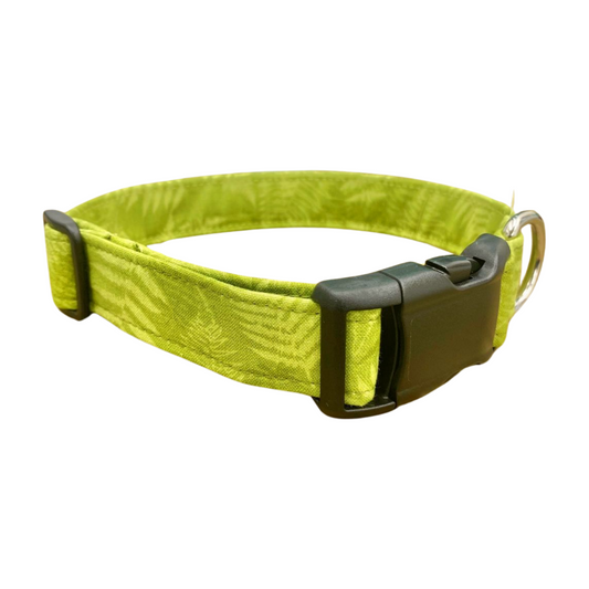 Green Palms Dog Collar